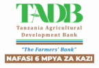 TADB Job Vacancies 6 Positions March 2026