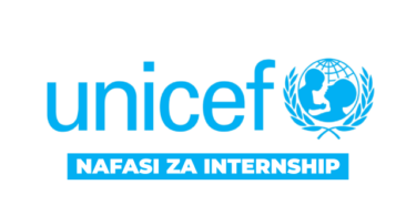UNICEF Tanzania Part-Time Internship March 2026