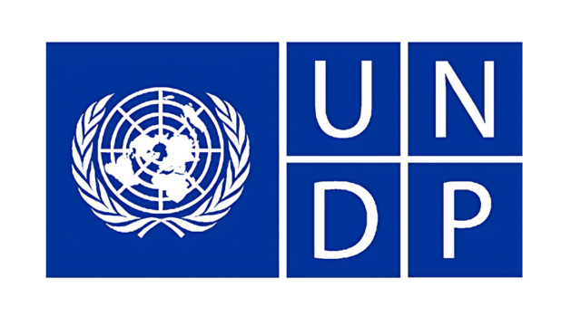 United Nations Programme Support Internships 2026
