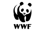 WWF South Africa Vacancies 2026