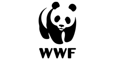 WWF South Africa Vacancies 2026