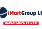 iMartGroup Ltd Vacancies March 2026