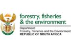 Department of Forestry Fisheries and the Environment (DFFE) Vacancies 2026