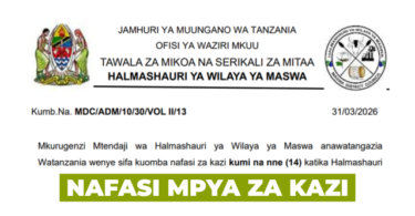 Maswa District Council Vacancies April 2026