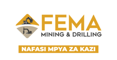 Procurement and Logistics Officer Vacancy at Fema Mining 2026