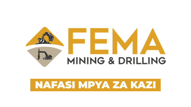 Procurement and Logistics Officer Vacancy at Fema Mining 2026