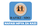 Program Manager & M&E Officer Jobs at Rafiki-SDO (April 2026)