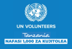 UN Volunteers 1000 Online Volunteer Opportunities Tanzania 2026