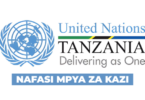 United Nations Association of Tanzania Vacancy 2026