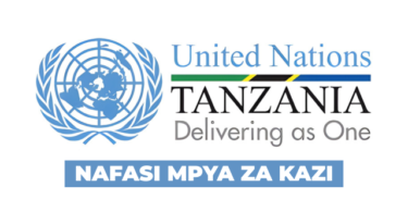 United Nations Association of Tanzania Vacancy 2026