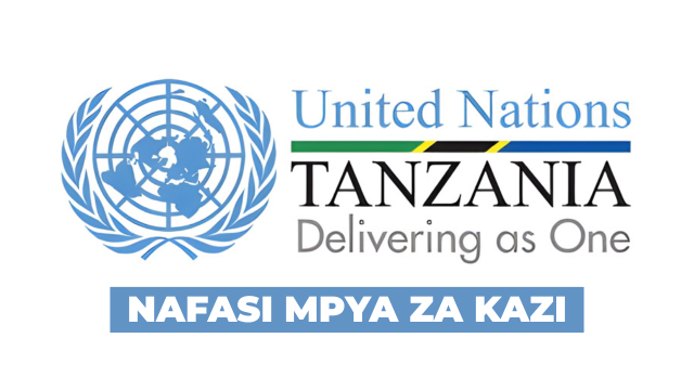 United Nations Association of Tanzania Vacancy 2026