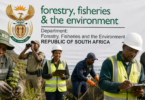 Department of Forestry, Fisheries & Environment 5x Vacancies May 2026