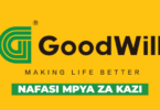 Goodwill Ceramics Tanzania 4x Vacancies May 2026