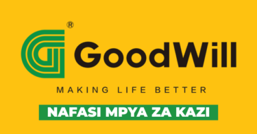 Goodwill Ceramics Tanzania 4x Vacancies May 2026
