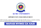 KCMC University Vacancies May 2026