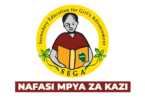 Secondary Education for Girls Advancement (SEGA) Vacancies May 2026