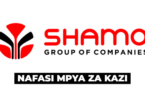 Shamo Industries LTD Accountants 5x Vacancies May 2026