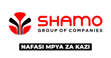 Shamo Industries LTD Accountants 5x Vacancies May 2026