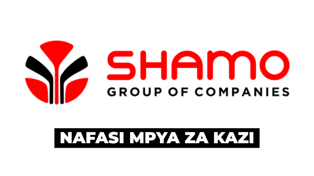 Shamo Industries LTD Accountants 5x Vacancies May 2026