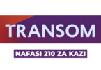 Transom Tanzania Limited 210x Vacancies May 2026