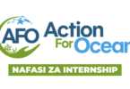 Action for Ocean Finance Internship 2026