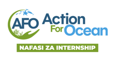 Action for Ocean Finance Internship 2026