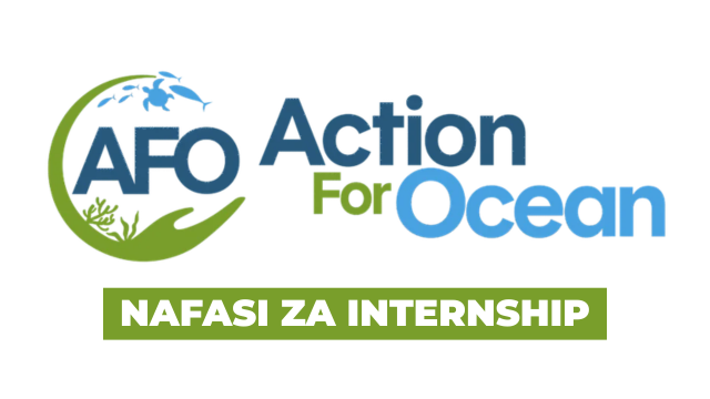 Action for Ocean Finance Internship 2026