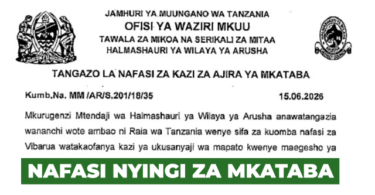 Arusha District Council 12 Temporary Vacancies June 2026