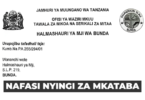 Bunda Municipal Council 17x Temporary Revenue Vacancies June 2026