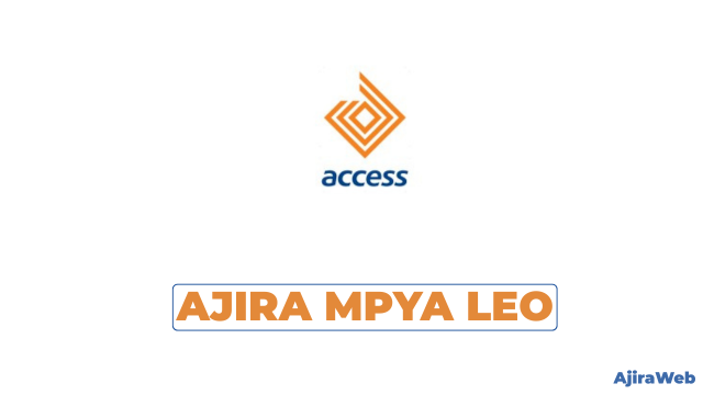Access Bank Tanzania Vacancies 2026 – Business Analyst – Business Performance & Insights