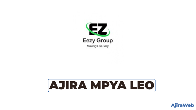 Accountant at Eezy Group Vacancies 2026