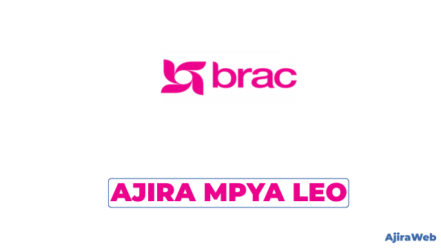 BRAC Tanzania Vacancies 2026 – Digital Transformation Manager