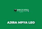 Bank of Africa (BOA) Tanzania Vacancies 2026