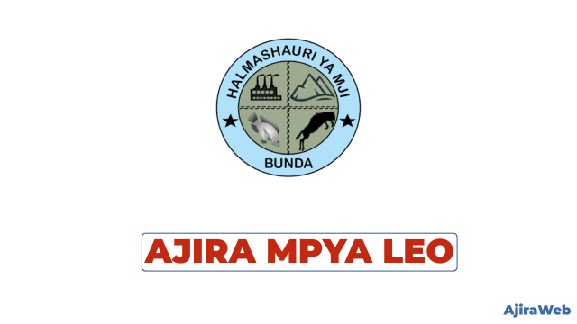 Bunda Town Council Vacancies 2026