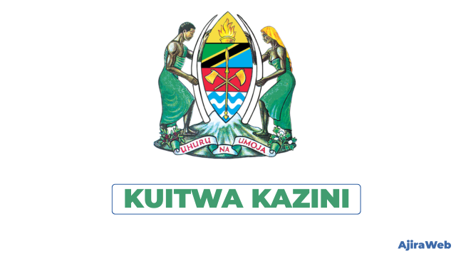 Call for Work Tamisemi PDF 2026