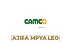 Camco Group Tanzania Vacancies 2026 | Sales Manager – Forklift (2 Posts)
