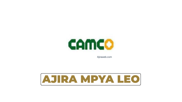 Camco Group Tanzania Vacancies 2026 | Sales Manager – Forklift (2 Posts)