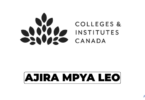 Colleges and Institutes Canada Vacancies 2026 | Senior Technical Advisor