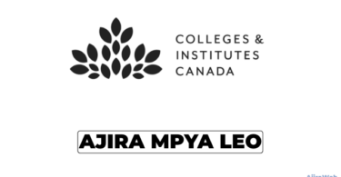 Colleges and Institutes Canada Vacancies 2026 | Senior Technical Advisor