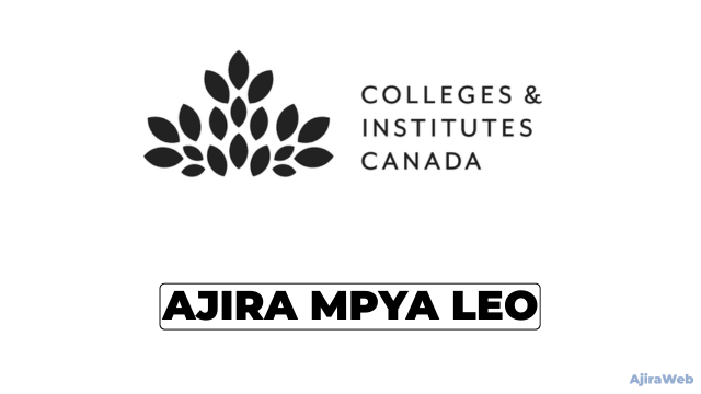 Colleges and Institutes Canada Vacancies 2026 | Senior Technical Advisor