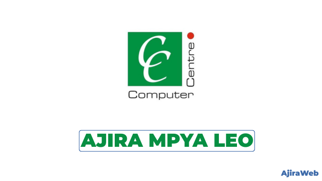 Computer Centre Tanzania Vacancies 2026 – Software Engineer