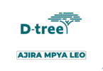 D-tree Vacancies 2026