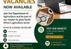Department of Agriculture (DOA) Vacancies July 2026