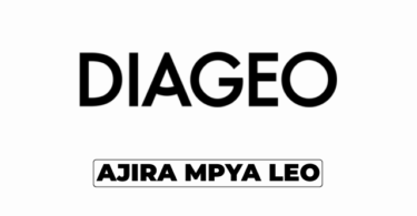 Diageo Tanzania Vacancies 2026