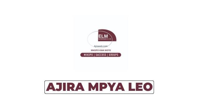 ELM Microfinance Vacancies 2026 | Sales and Loan Recovery Officer