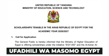 Egypt Scholarships 20262027 for Tanzanian Students Fully Funded