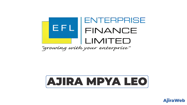 Enterprise Finance Limited (EFL) Internship Opportunities 2026