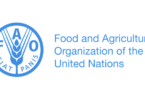 FAO South Africa Job Vacancies 2026