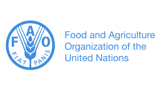 FAO South Africa Job Vacancies 2026