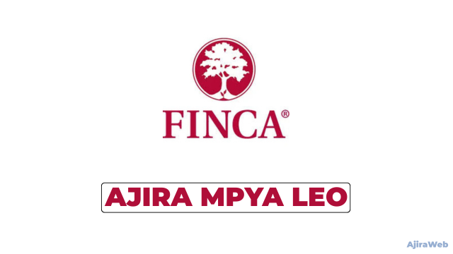 FINCA Microfinance Bank Tanzania Vacancies 2026